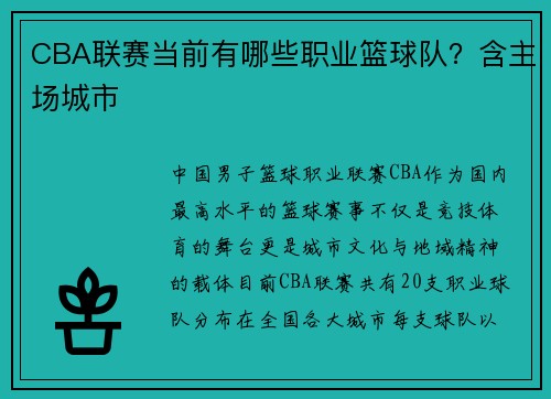 CBA联赛当前有哪些职业篮球队？含主场城市